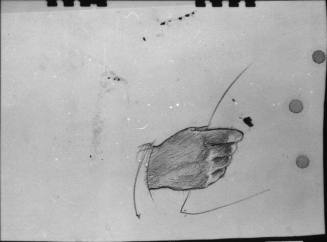 study of a hand holding a paper