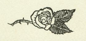 The Courtship of Miles Standish, untitled drawing (rose)