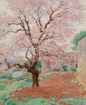 The Cherry Tree (The Cherry Blossoms)