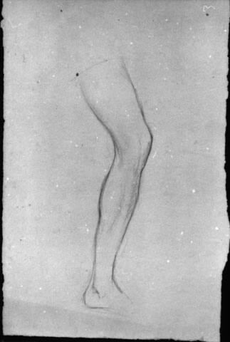 Untitled (study of a leg)