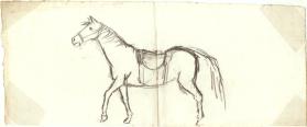 Untitled (saddled horse; verso, two horses)