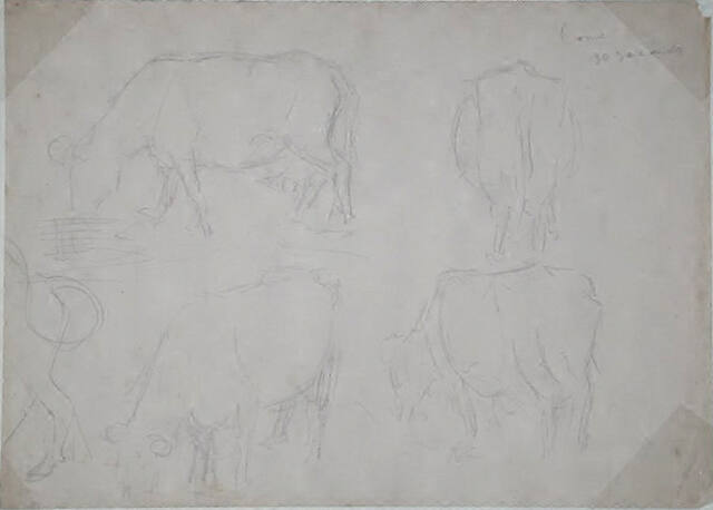 Untitled (five cows)