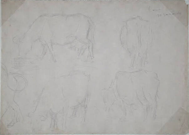 Untitled (five cows)