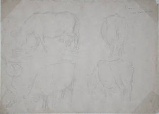 Untitled (five cows)