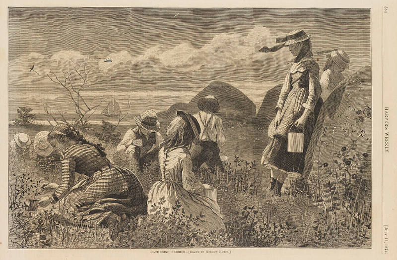 Gathering Berries