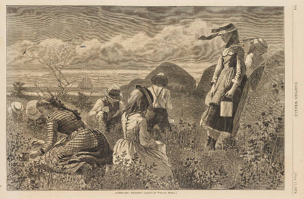 Gathering Berries