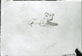 untitled (study of a calf, for Summer Night; verso, fragment of composition drawing for Lewis and Clark)