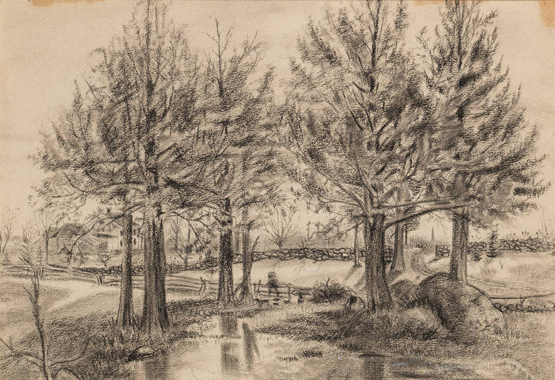 Trees by a Stream