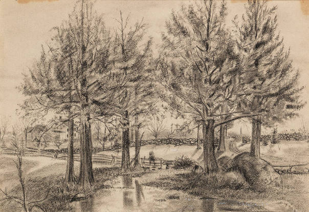 Trees by a Stream