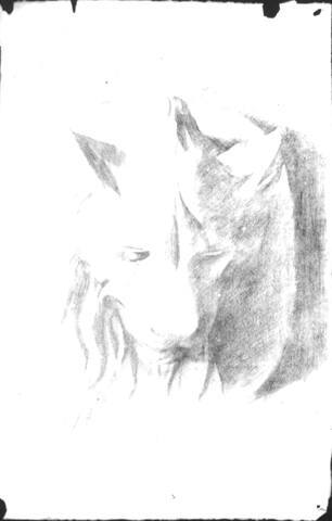 Untitled (study of a lion's head)