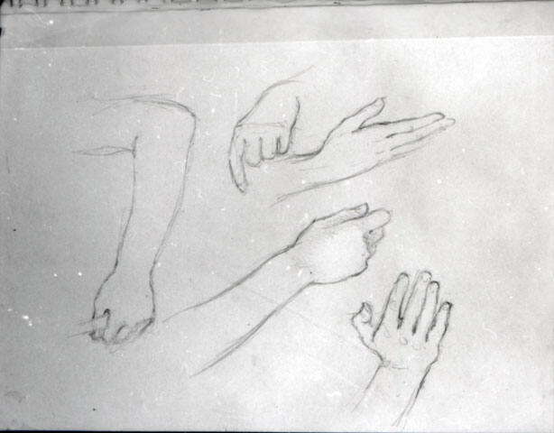 arm and hand studies