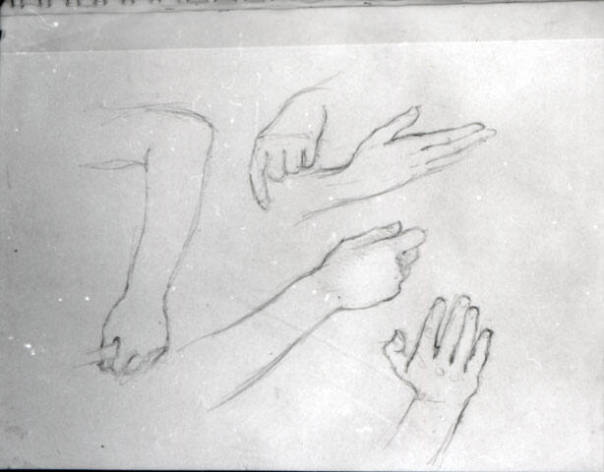 arm and hand studies