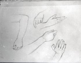 arm and hand studies