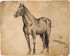 Untitled study of a horse; verso: head of a horse and studies of horses legs