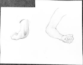 arm and hand studies