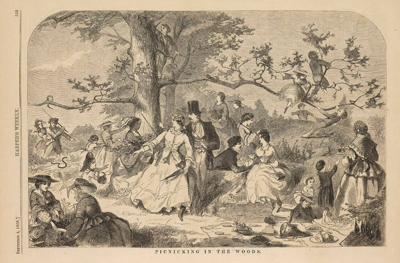 Picnicking in the Woods