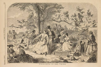 Picnicking in the Woods