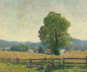 Chadds Ford Landscape - July 1909