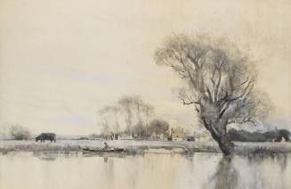 A Farm in the Broads