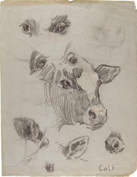 Untitled (head of a calf with studies of eyes and ears); verso: untitled (studies of eyes)