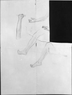 Untitled (studies of arms and legs)