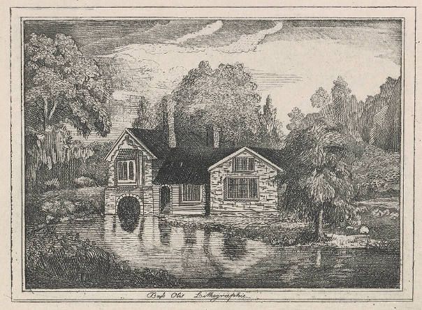 House and Trees at Waterside