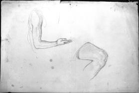 Untitled (study of an arm, hand and leg)