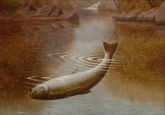 Trout in the Brandywine