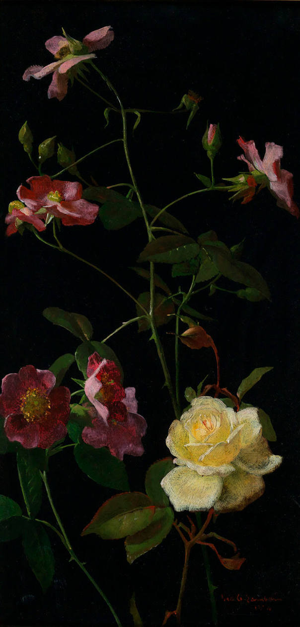 Still Life of Roses