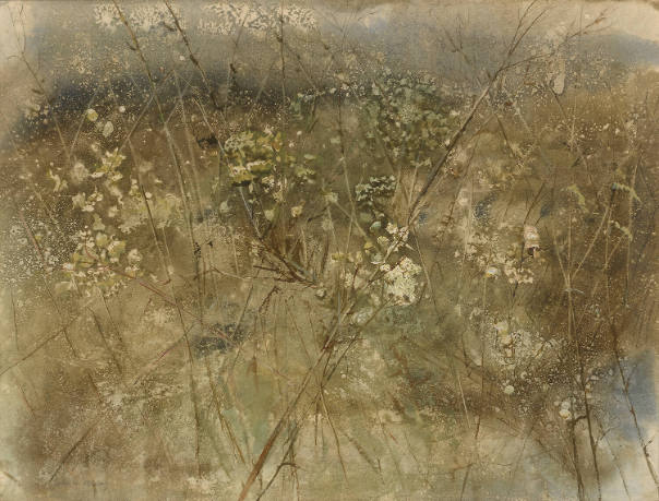Winter Weeds