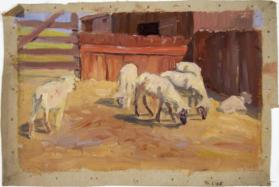 untitled (five sheep in a barnyard)