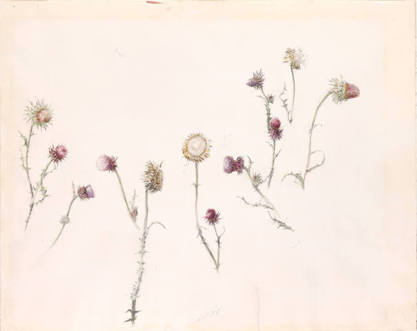 Study for August, #1