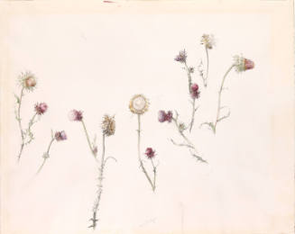 Study for August, #1