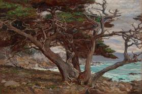 Monterey Cypress, Pebble Beach