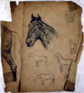 Untitled (horse studies)