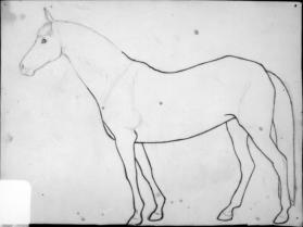 Untitled (study of a horse)