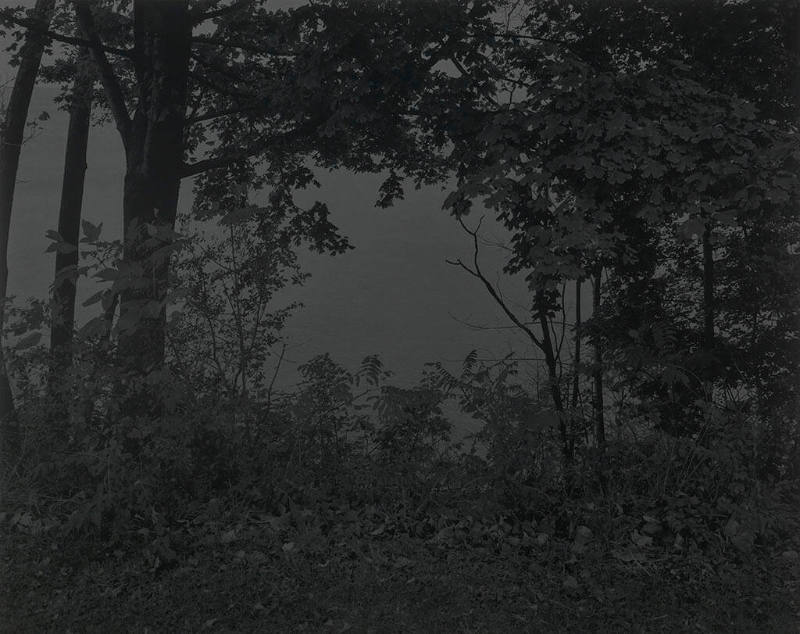 Night Coming Tenderly, Black: Untitled #24 (At Lake Erie)