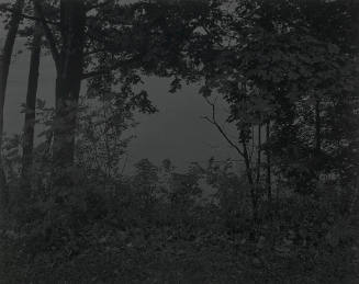 Night Coming Tenderly, Black: Untitled #24 (At Lake Erie)