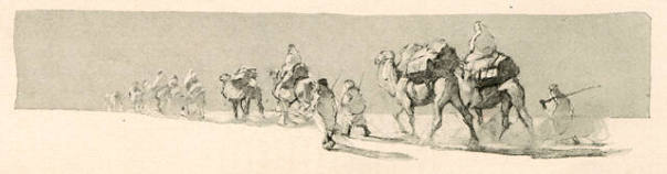 Madame Robin, tailpiece illustration