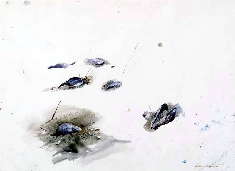 Seashells, Study for Sandspit