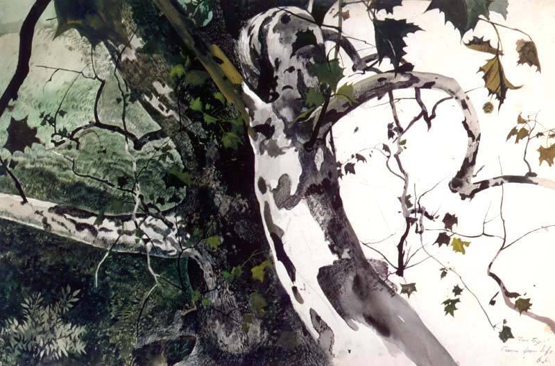 Buttonwood, Study for The Hunter