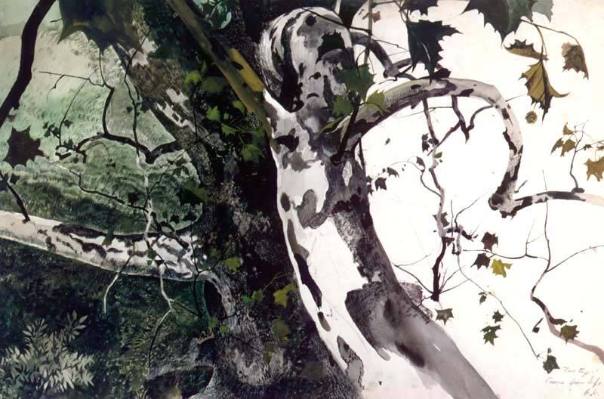 Buttonwood, Study for The Hunter