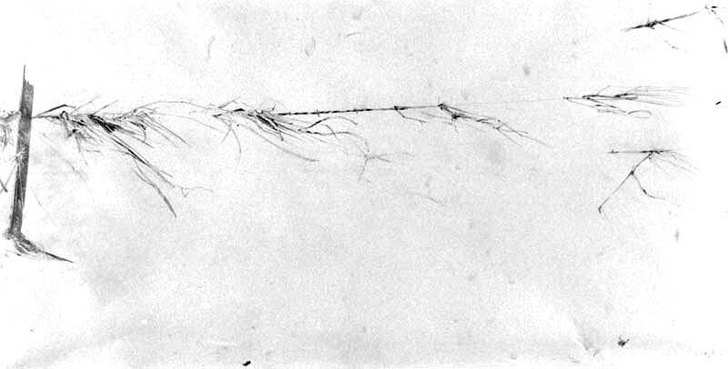 After the Flood, Study for the Mill