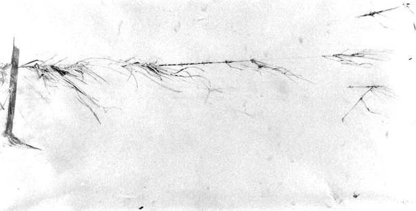 After the Flood, Study for the Mill