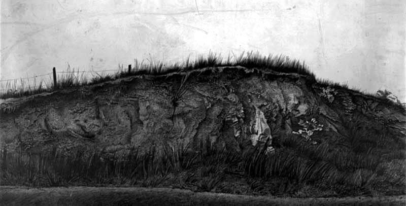 Road Cut Study