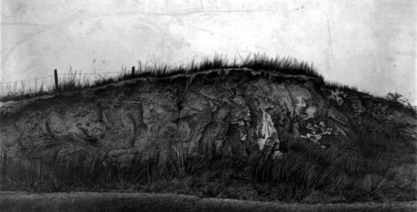 Road Cut Study