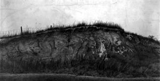 Road Cut Study