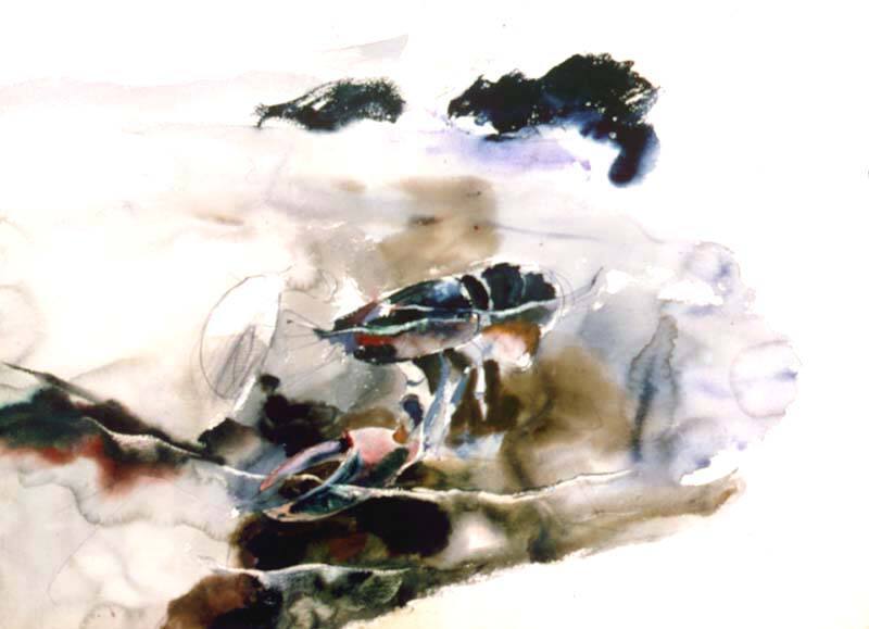 Lobster #08 (#m1041)