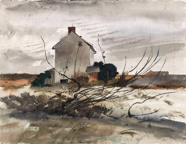 Winter Corn Fields Study