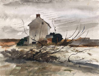 Winter Corn Fields Study